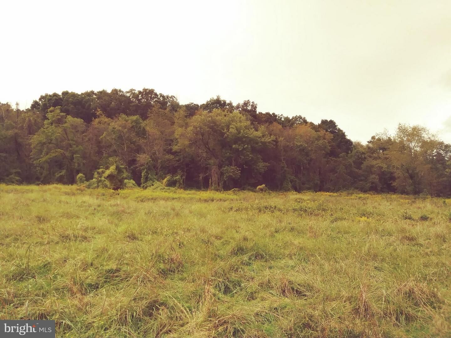 Property Photo: 16515 Collier Run Road MD 21555