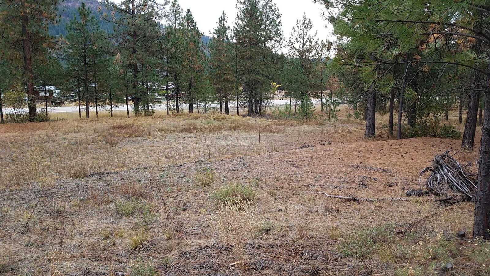 Property Photo:  24909 N Highway 395  WA 99141 
