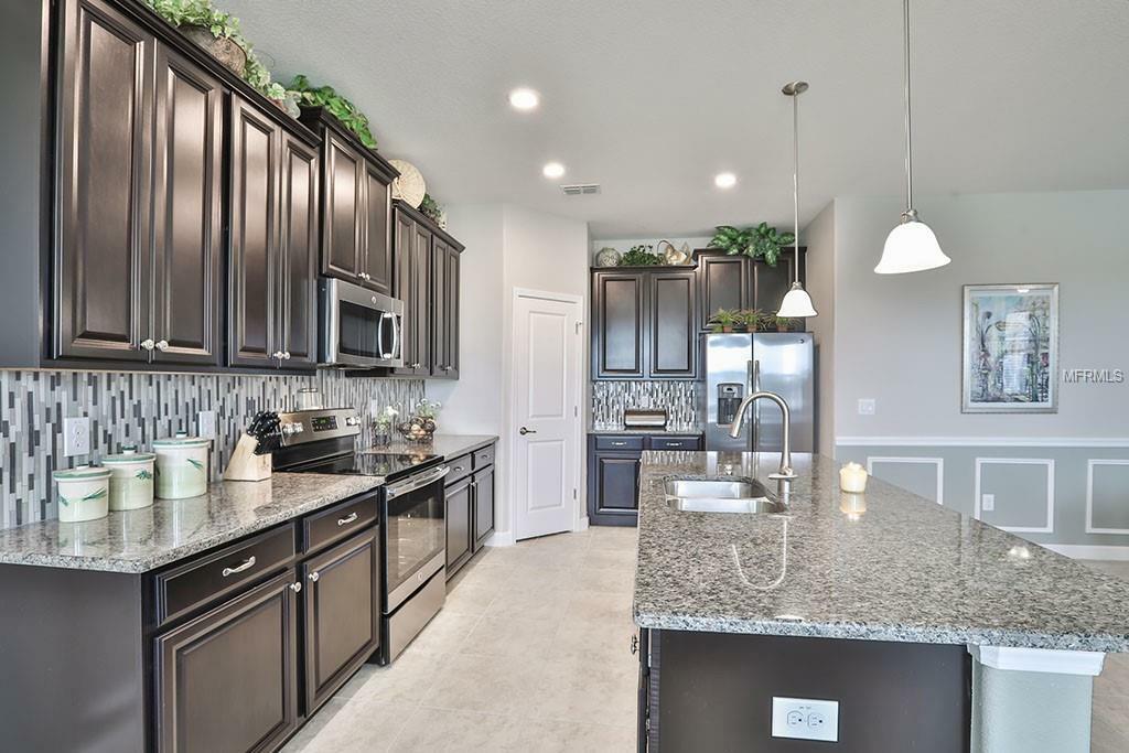 Property Photo: 1909 Redmond Brook Lane FL 33570