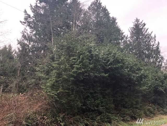 Property Photo:  7600 Block 165th Ave NW  WA 98292 