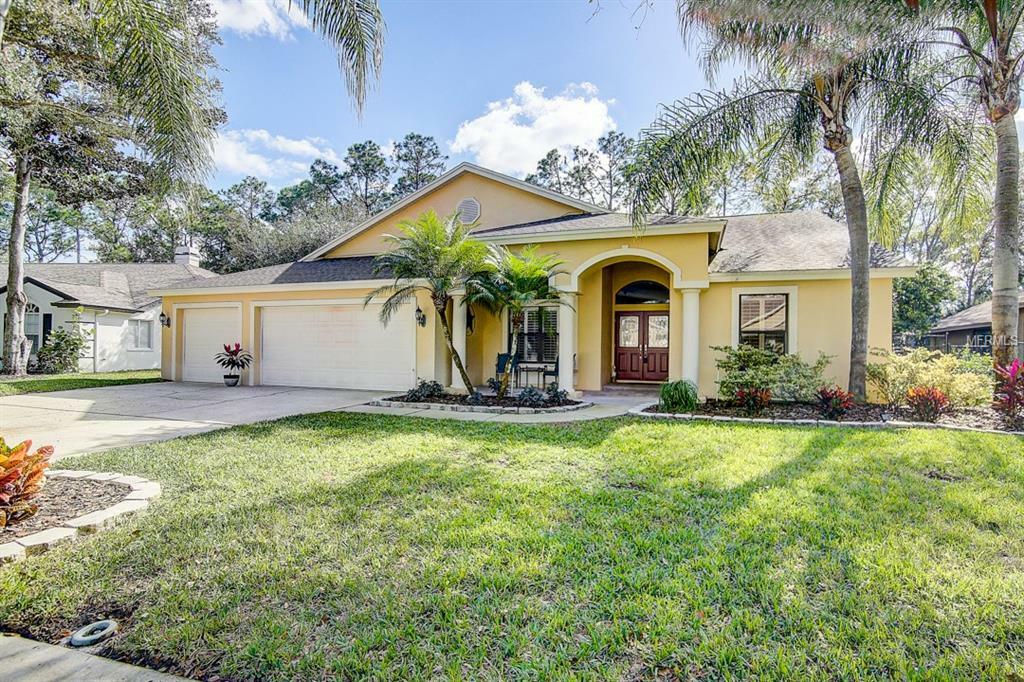 Property Photo:  4728 Brayton Terrace S  FL 34685 