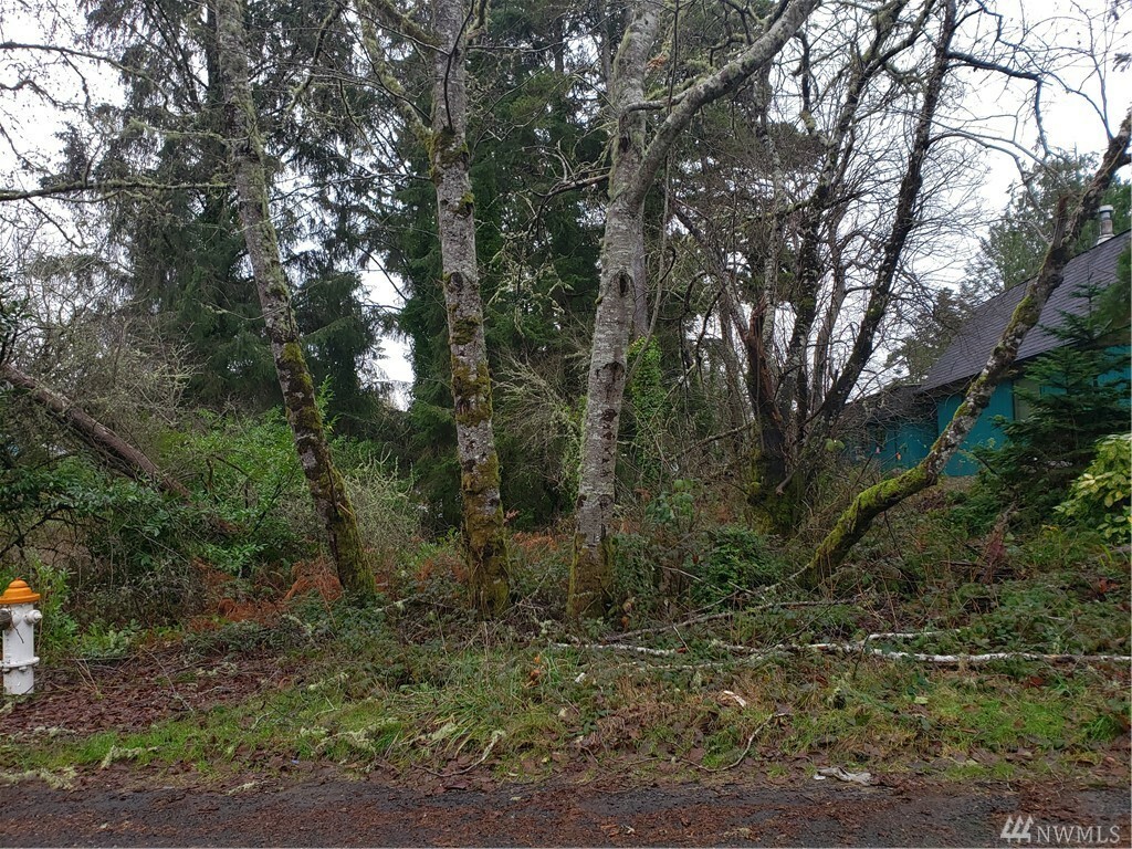 Property Photo:  0 E Woodhill Ave  WA 98595 