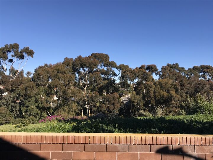 Property Photo: 7134 Lantana Terrace CA 92011