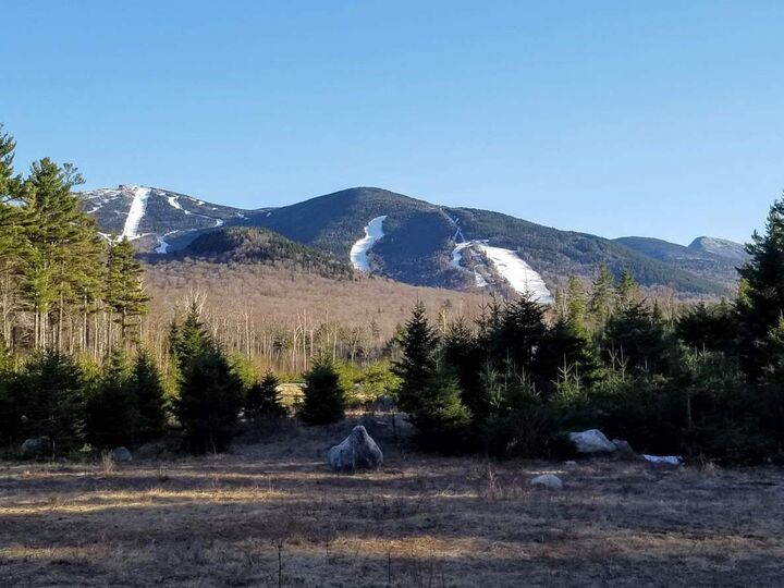 Property Photo: 28 Notchway Drive 1 NH 03580