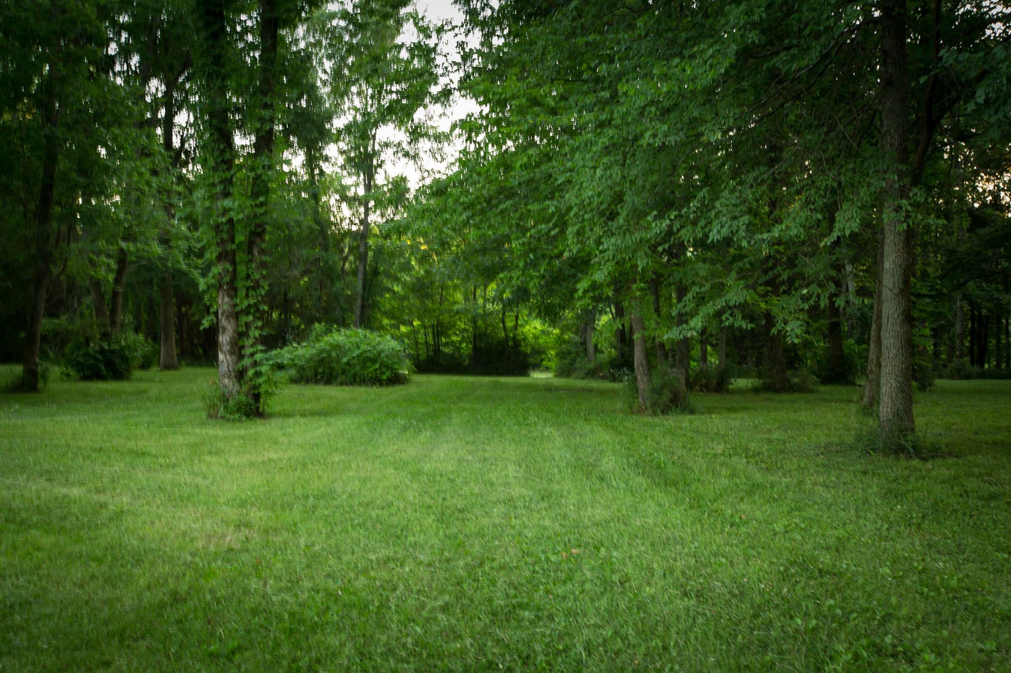 Property Photo:  12500 Manchester Pike  TN 37037 