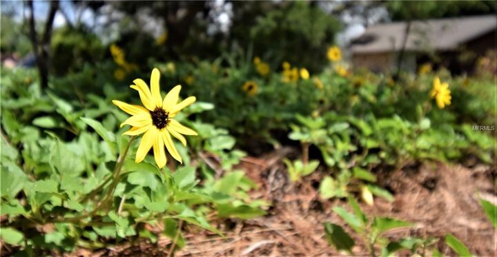 Property Photo:  9900 133rd Street  FL 33776 