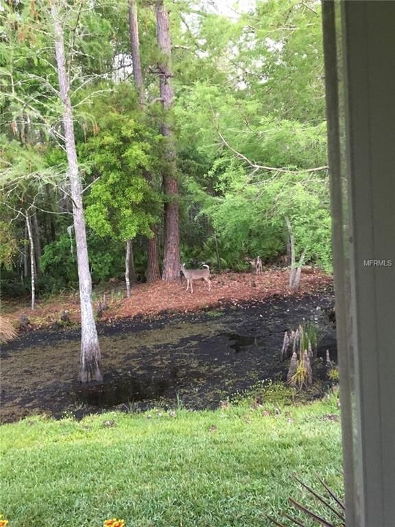 Property Photo:  1728 Orchardgrove Avenue  FL 34655 