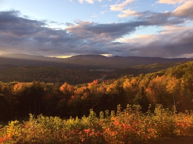 Property Photo: 84 Richardson Trail 23 NH 03223