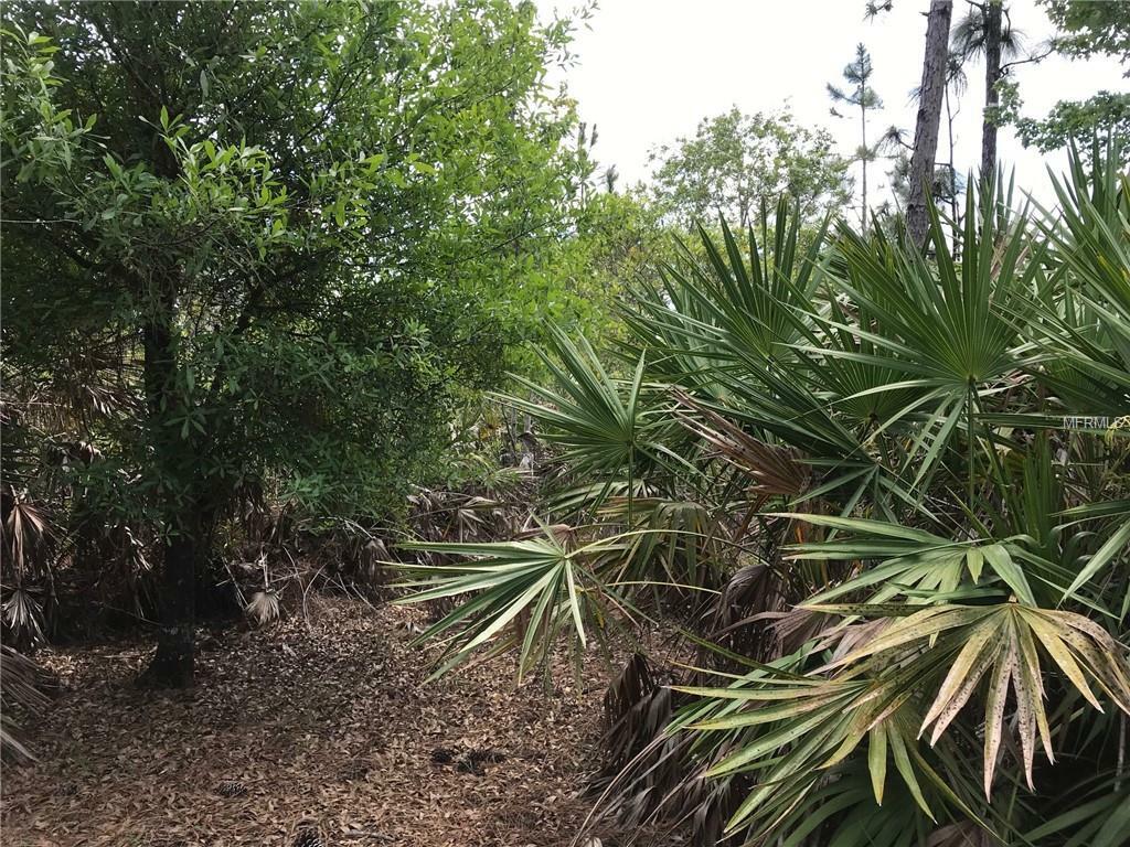 Property Photo:  Lot 29 Sodbury Street  FL 32833 