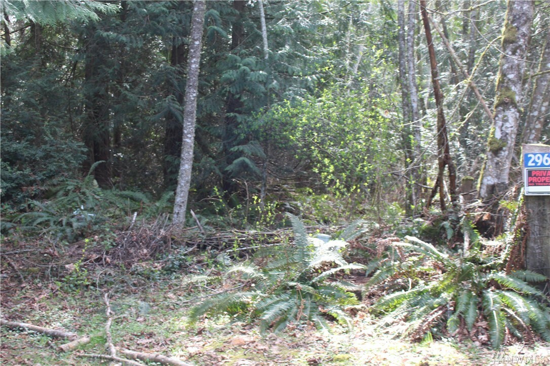 Property Photo:  29671 Rash Rd, NE  WA 98346 