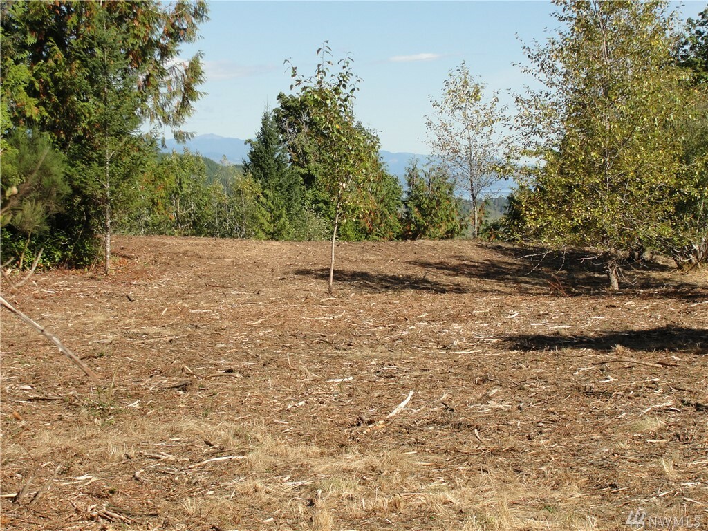 Property Photo: 0 E Bobcat Lane WA 98584