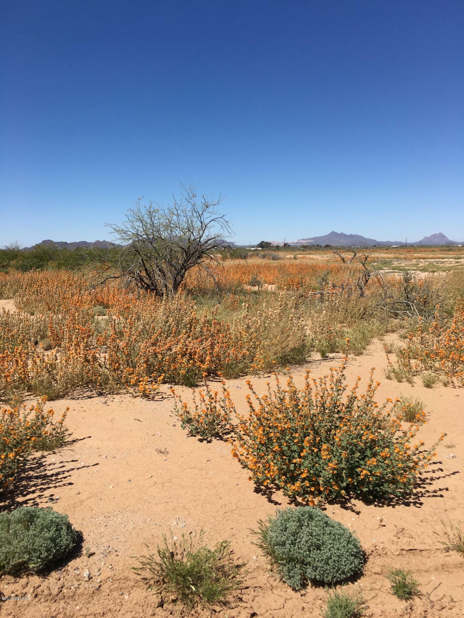 Property Photo:  Xxx N Shadows Desert Lane 61  AZ 85653 