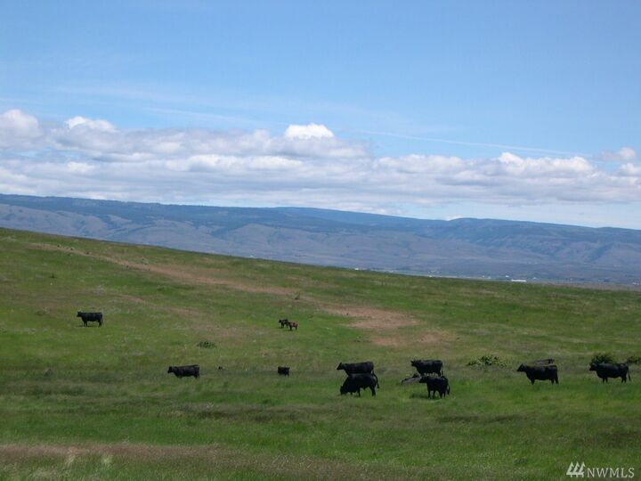 2000 Xxx Hunter Rd  Ellensburg WA 98926 photo