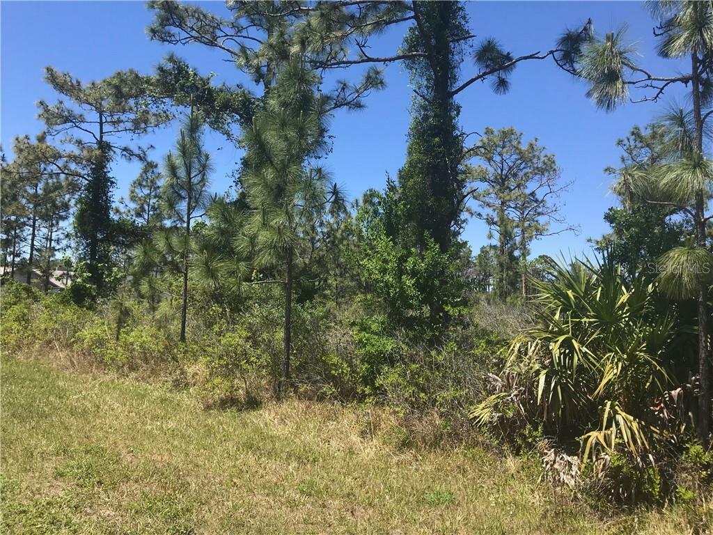 Property Photo:  Sabal Street 11A  FL 32833 