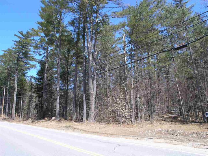 Property Photo: Lot 2 Route 175 2 NH 03285