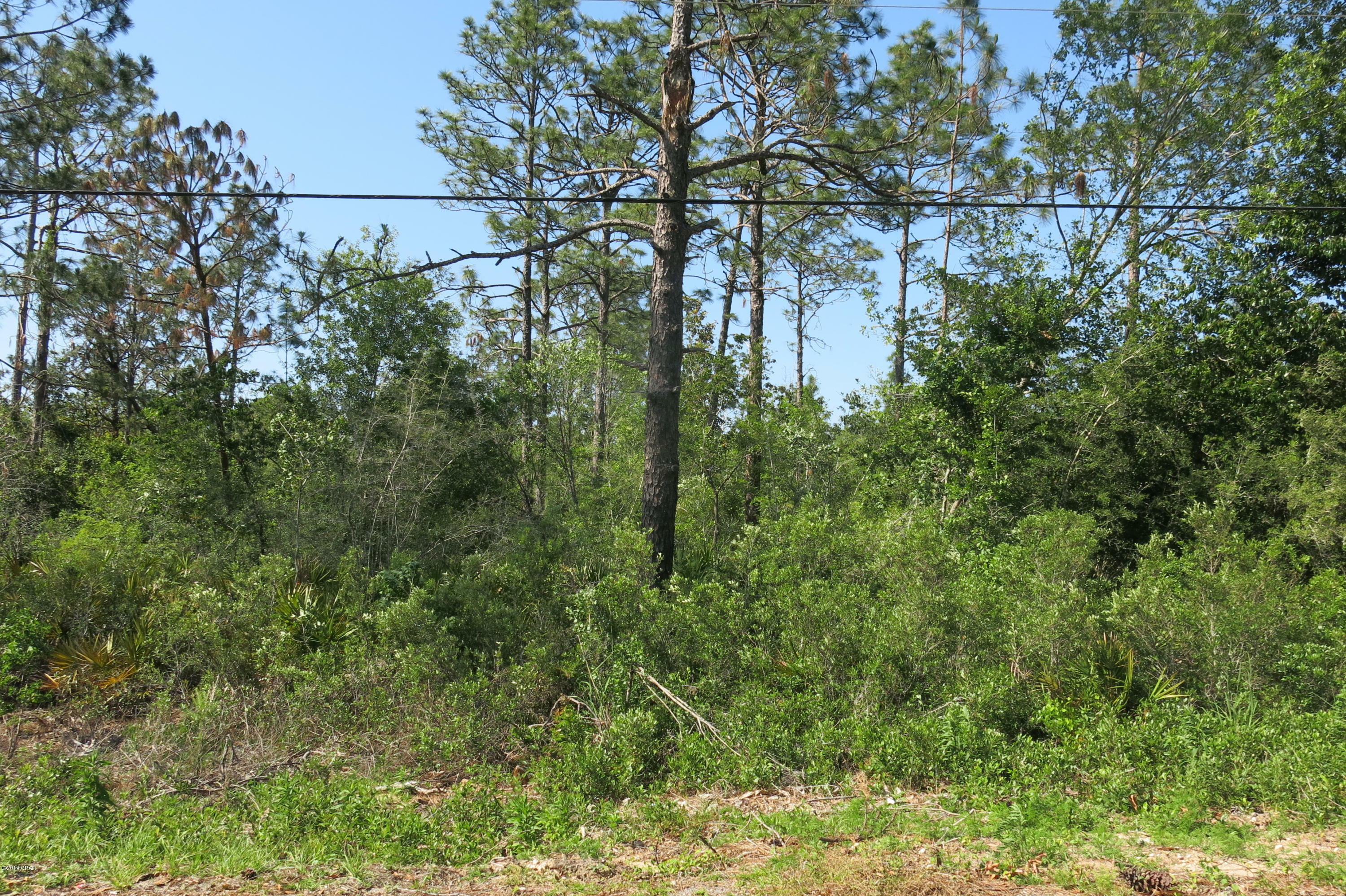 Property Photo: 12006 Raccoon Road FL 32409