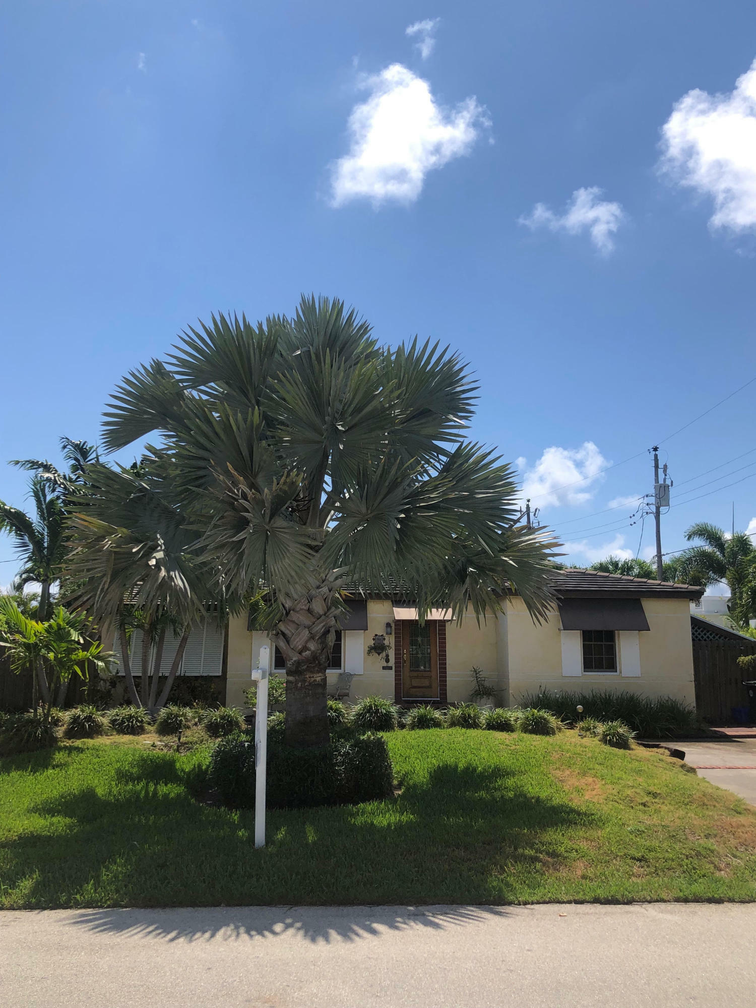 Property Photo:  136 NE Olive Way  FL 33432 