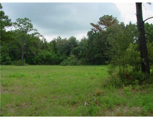 Property Photo:  15200 U S Highway 49  MS 39503 