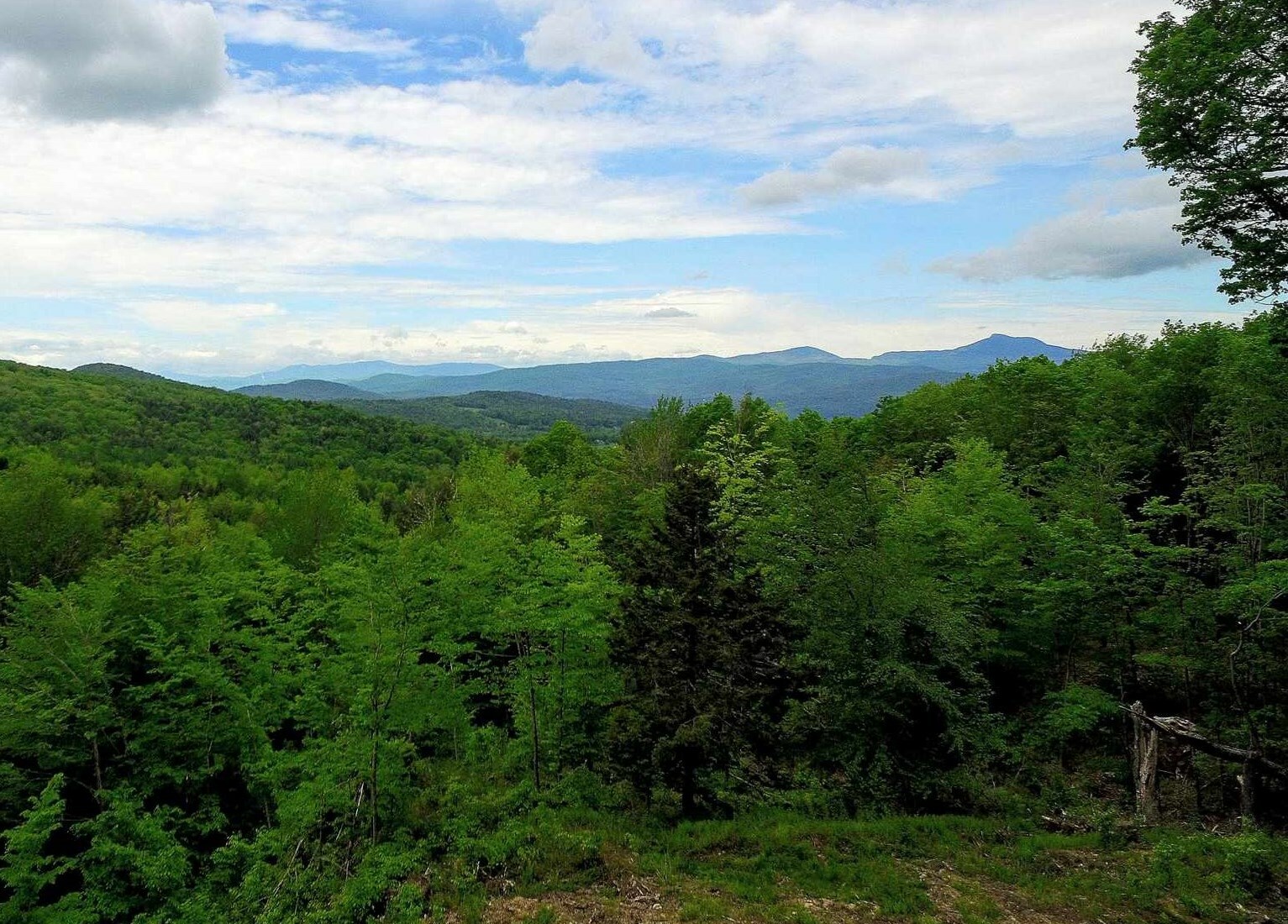 Property Photo: 0 Bear Creek Lane 13 VT 05677