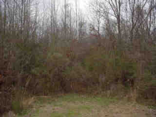 Property Photo: 14373 Jim Byrd Road MS 39532