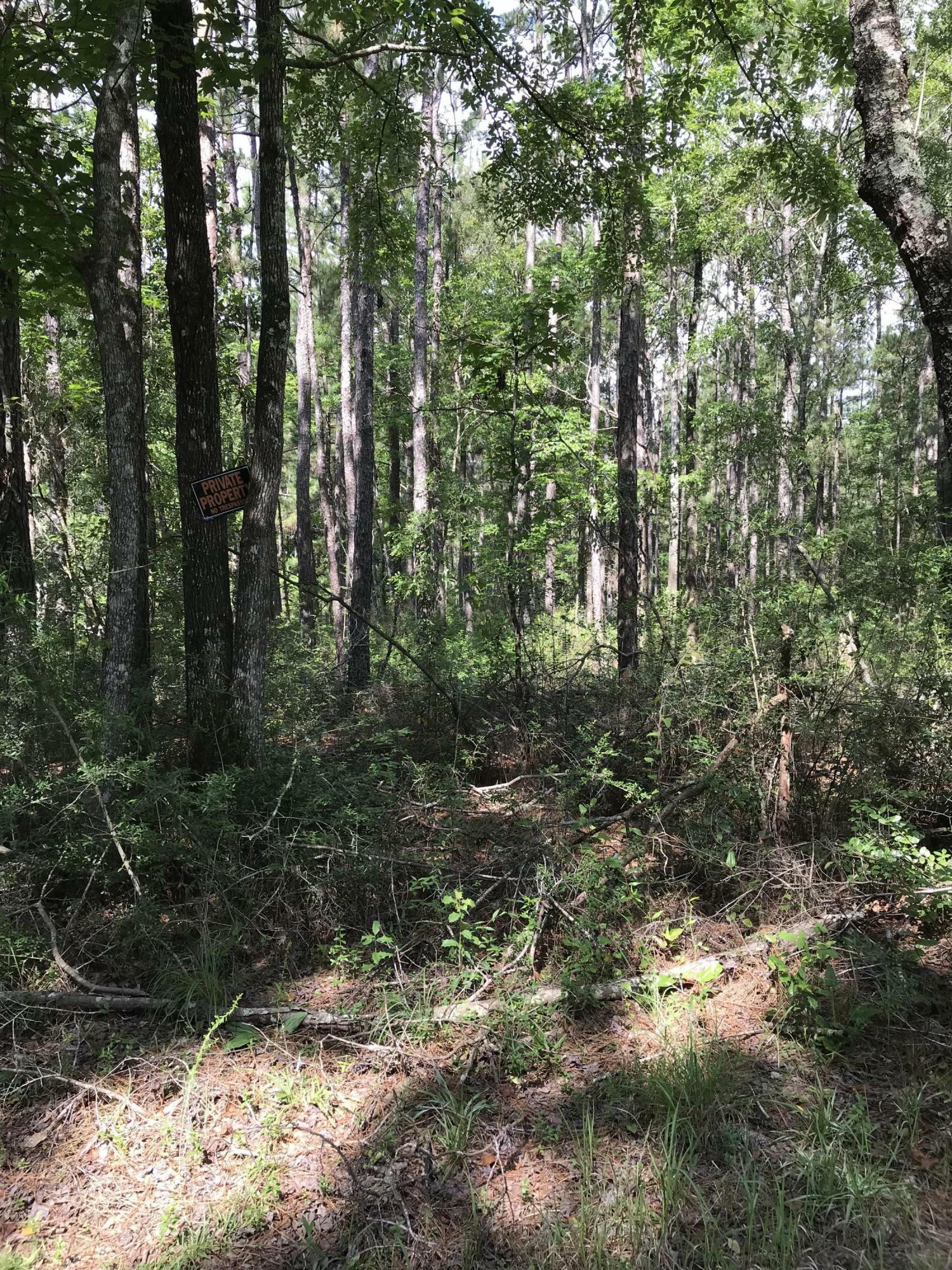 Property Photo:  23925 Old River Road  MS 39565 