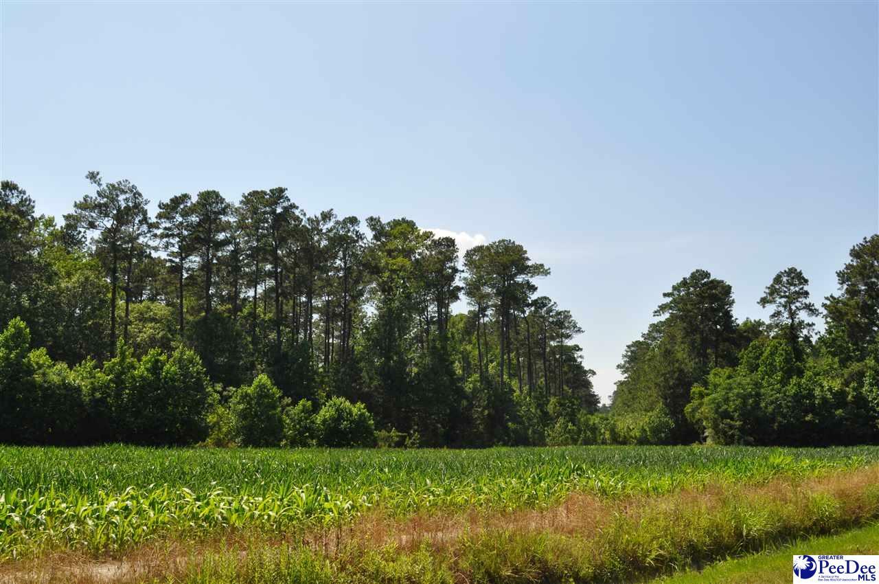 Property Photo:  2 Acres Bucksport Road  SC 29527 