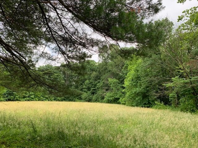 Property Photo:  Lot 6,7,8, Kuebler Road  IN 47720 