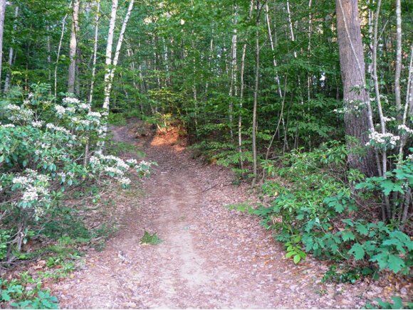 Property Photo: 175 Federal Hill Road NH 03049