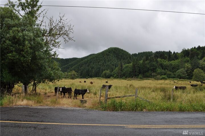 Property Photo: 0 Little Hanaford Rd WA 98531