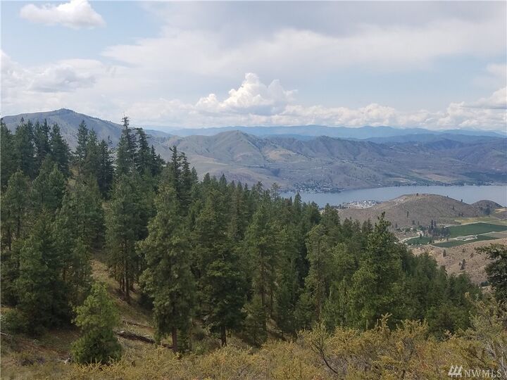 Property Photo:  1128 Blazing Star Lane  WA 98816 