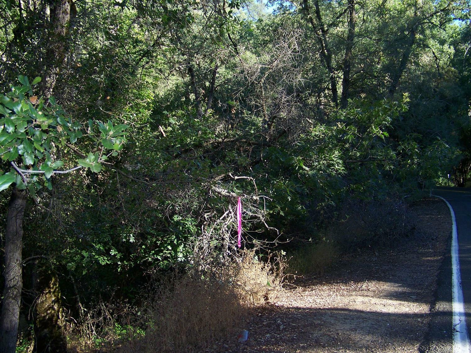 Property Photo:  1 Ac Forni Road  CA 95667 