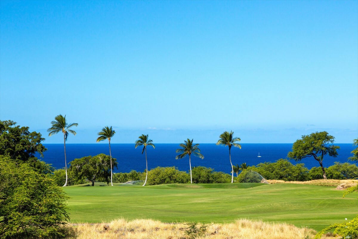 2 High Bluffs  Kohala Coast HI 96743 photo