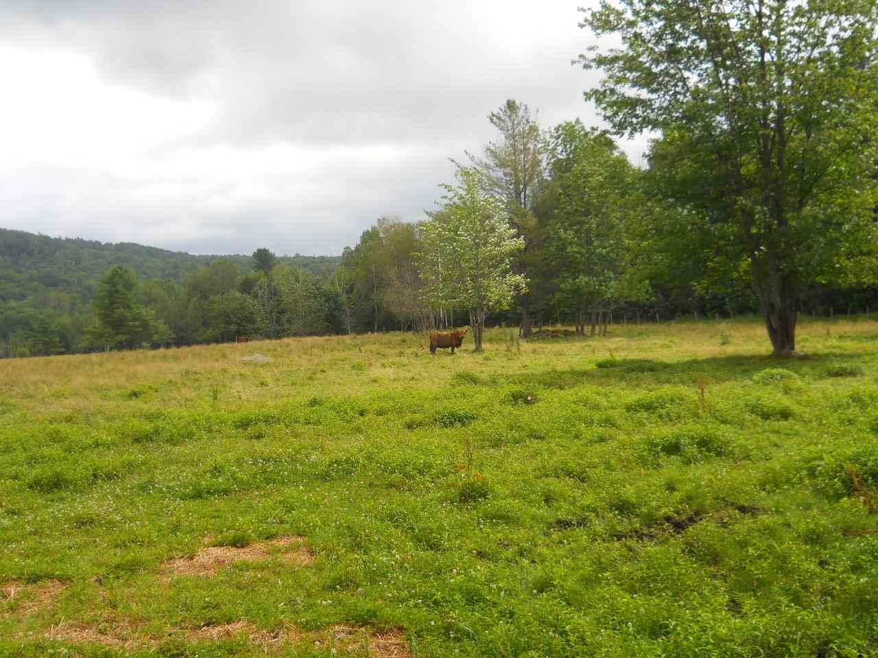Property Photo: 234 Creamery Bridge Road 3 VT 05470