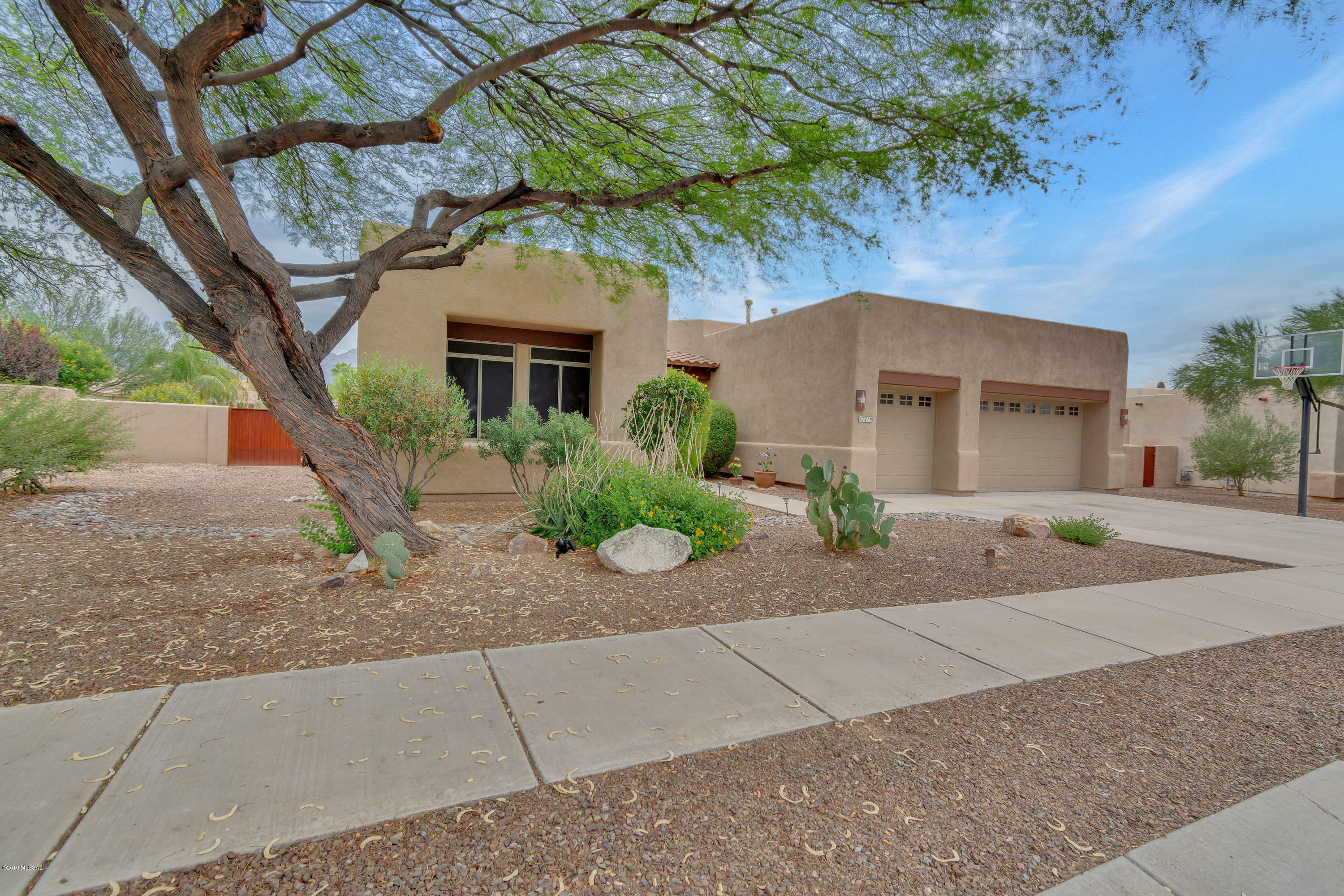 Property Photo:  11718 N Desert Holly Drive  AZ 85737 