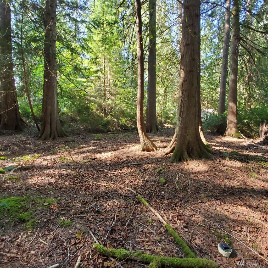 Property Photo:  383 E Pointes Dr E  WA 98584 