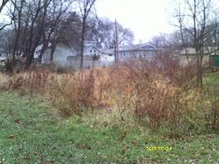 Property Photo: 1302 Ardmore Drive IL 60073
