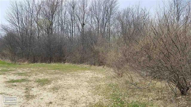 Property Photo: Lincoln St Vacant Lot MI 48097
