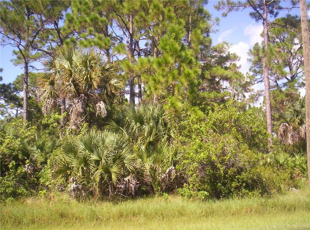 Property Photo: 5867 David Boulevard FL 33981