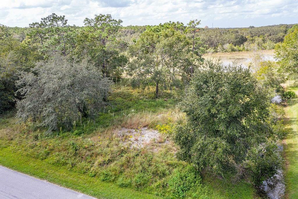 Property Photo: 12411 Quail Ridge Drive FL 34610