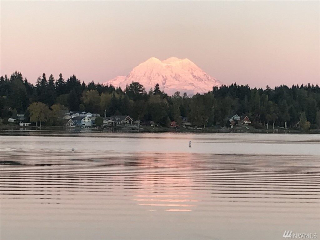 Property Photo:  15908 Lawrence Place SE  WA 98597 