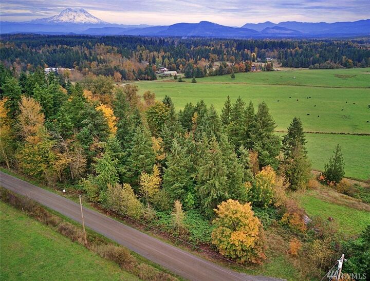 Property Photo:  19441 Cougar Mountain Airport Rd SE  WA 98597 