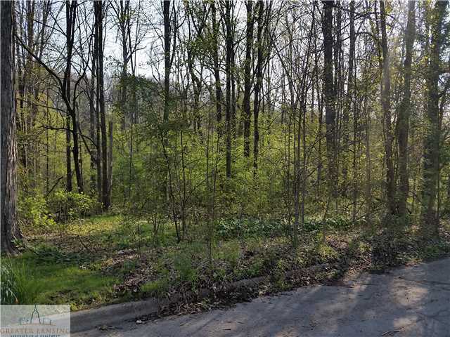Property Photo:  Grand River Drive  MI 48837 