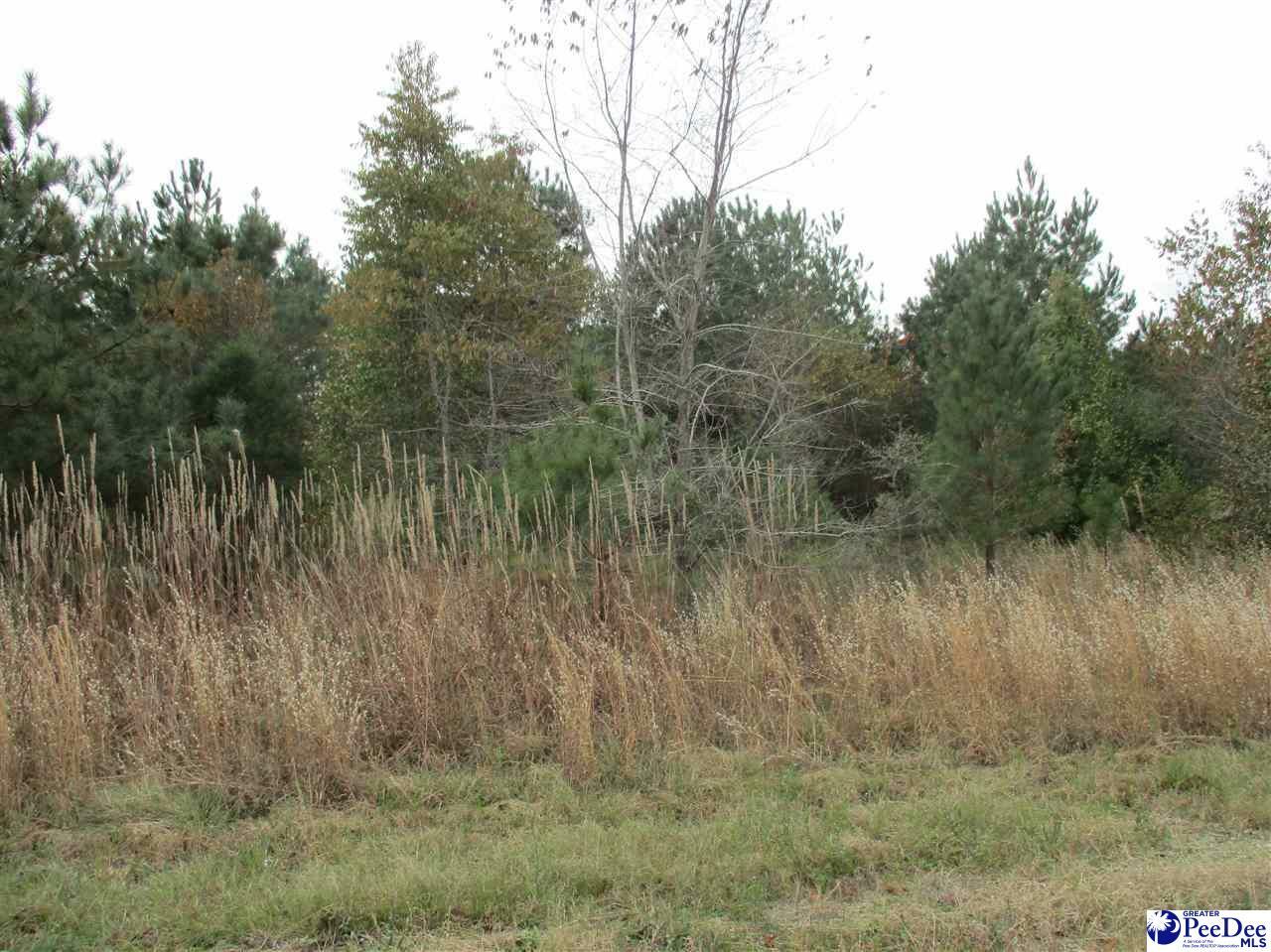 Property Photo:  Tbd (Land) Cherry Johnson Rd.  SC 29541 