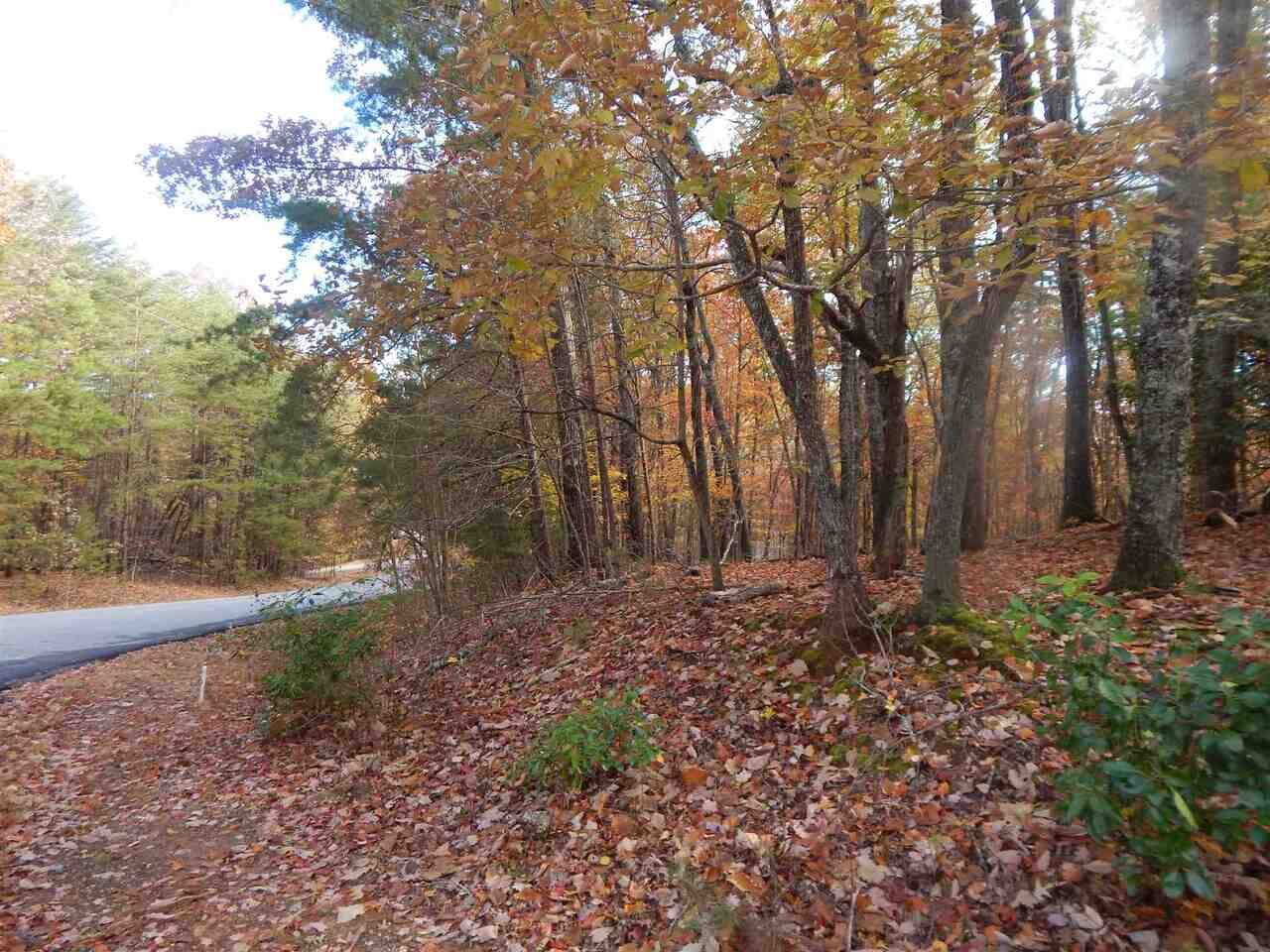 Property Photo:  0 Panorama Drive 9  GA 30571 