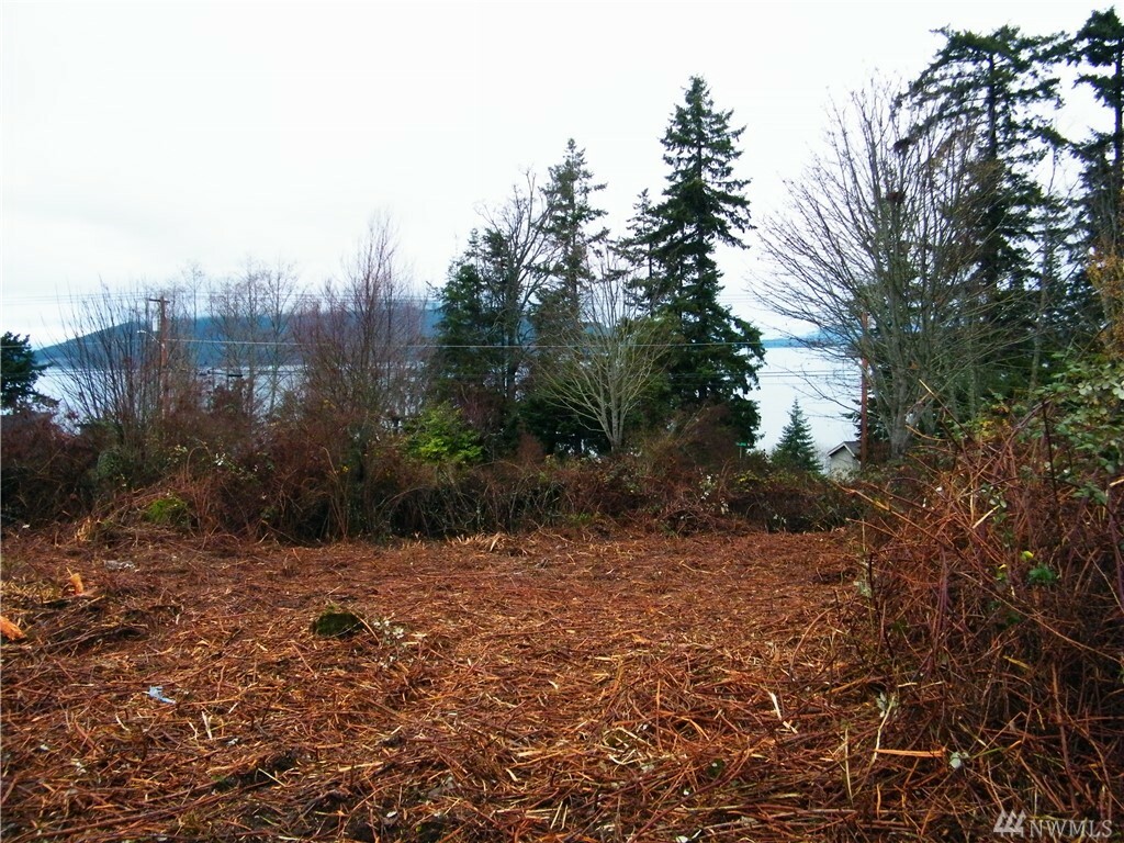 Property Photo:  Nhn Oakes Ave  WA 98221 