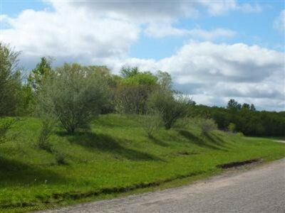 Property Photo:  Michael Street  MI 49420 