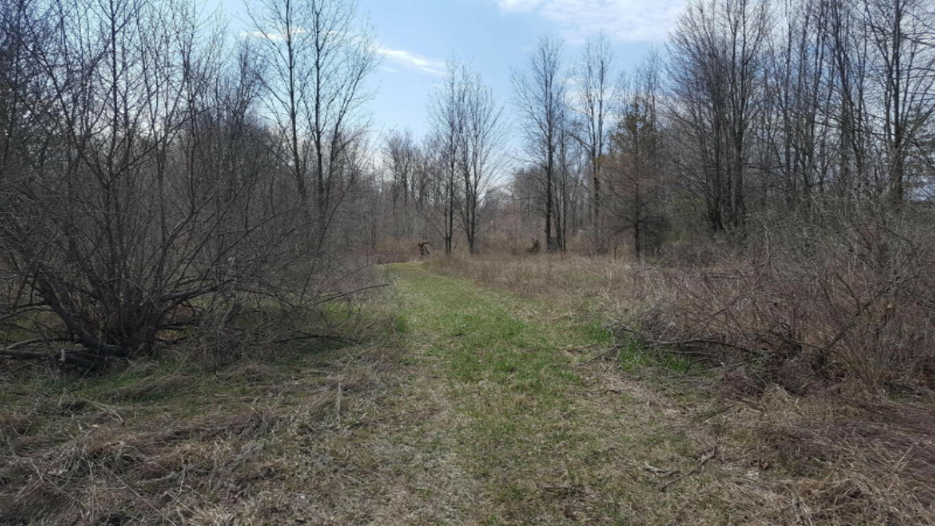 Property Photo:  1623 E Boyer Road  MI 48834 