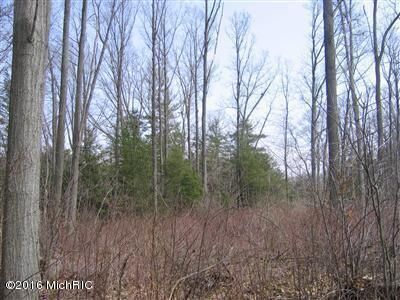 Property Photo:  4467 Riverbluff Trail  MI 49419 