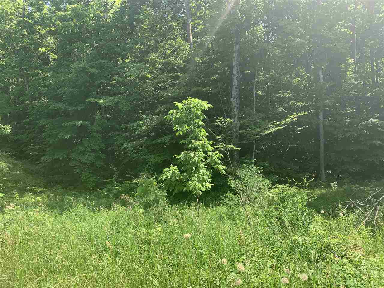 Property Photo: 00 Lewis MI 49770