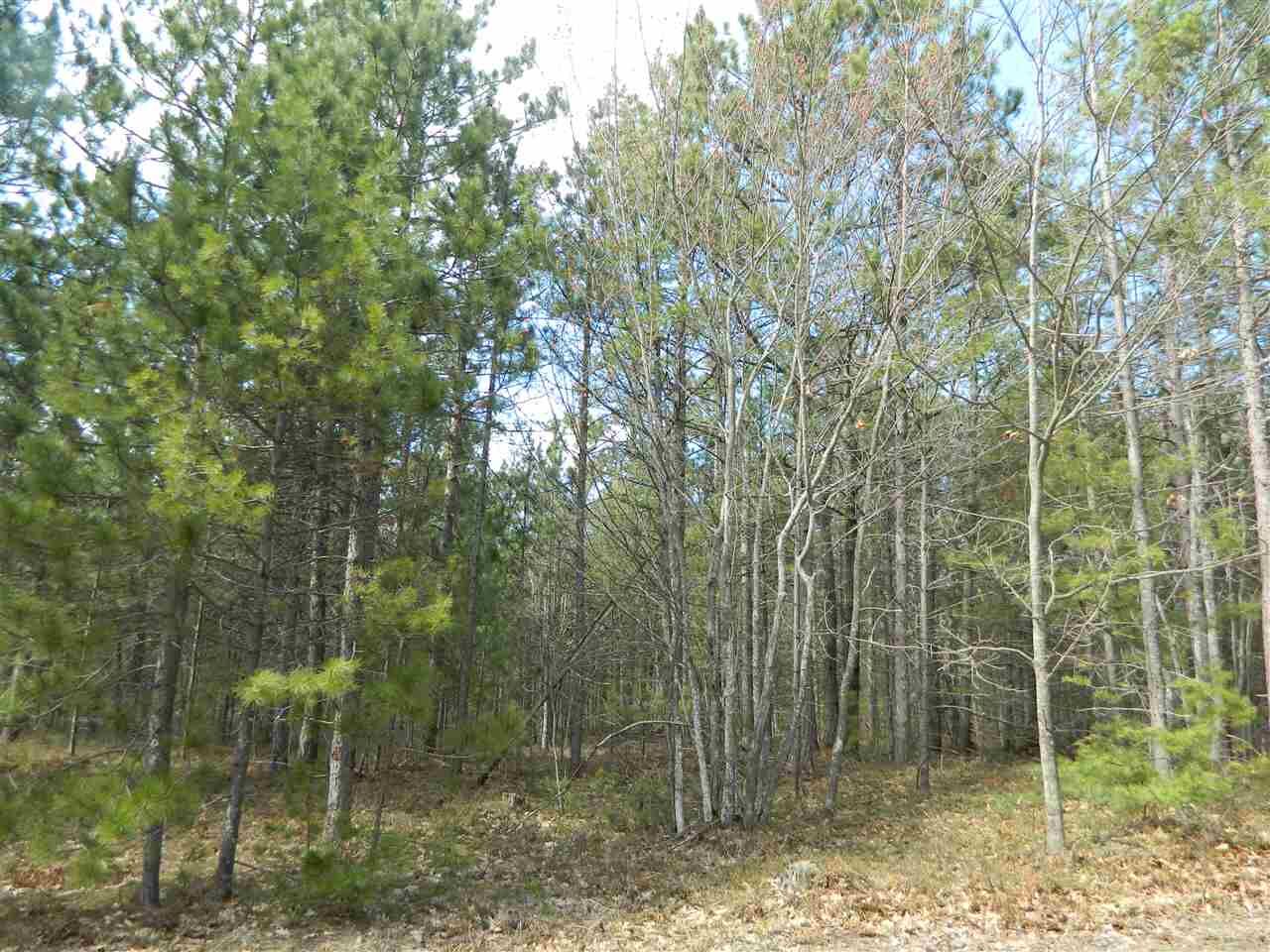 Property Photo: Tbd Lake Shore Dr. MI 49740